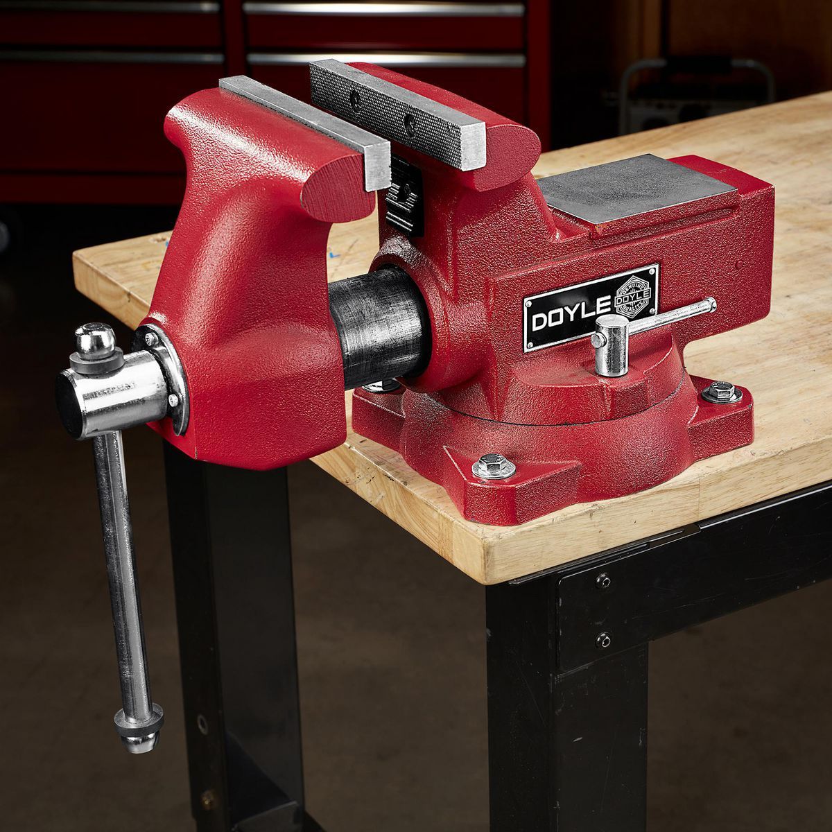 6 in. Swivel Vise with Anvil and Pipe Jaws