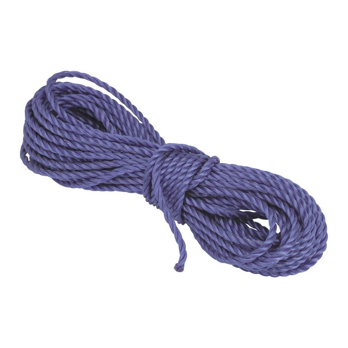 1/4 in. x 50 ft. Polypropylene Rope